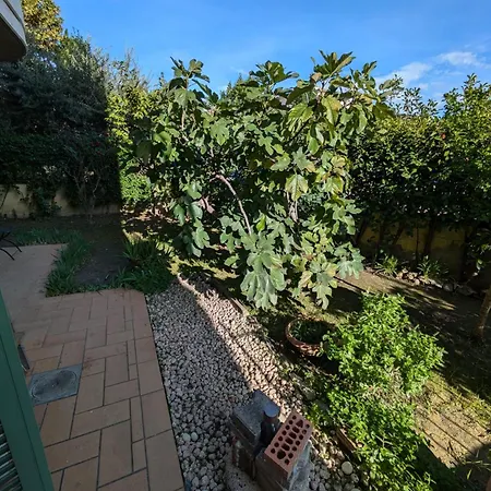 Il Fico Appartement Campi Bisenzio