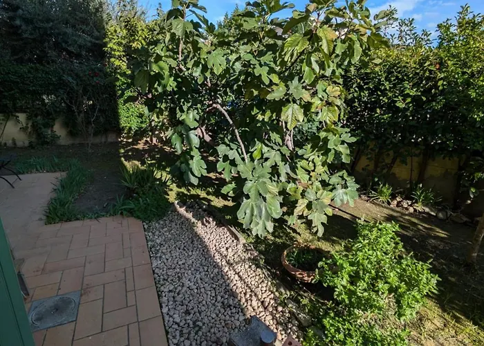 Il Fico Appartement Campi Bisenzio